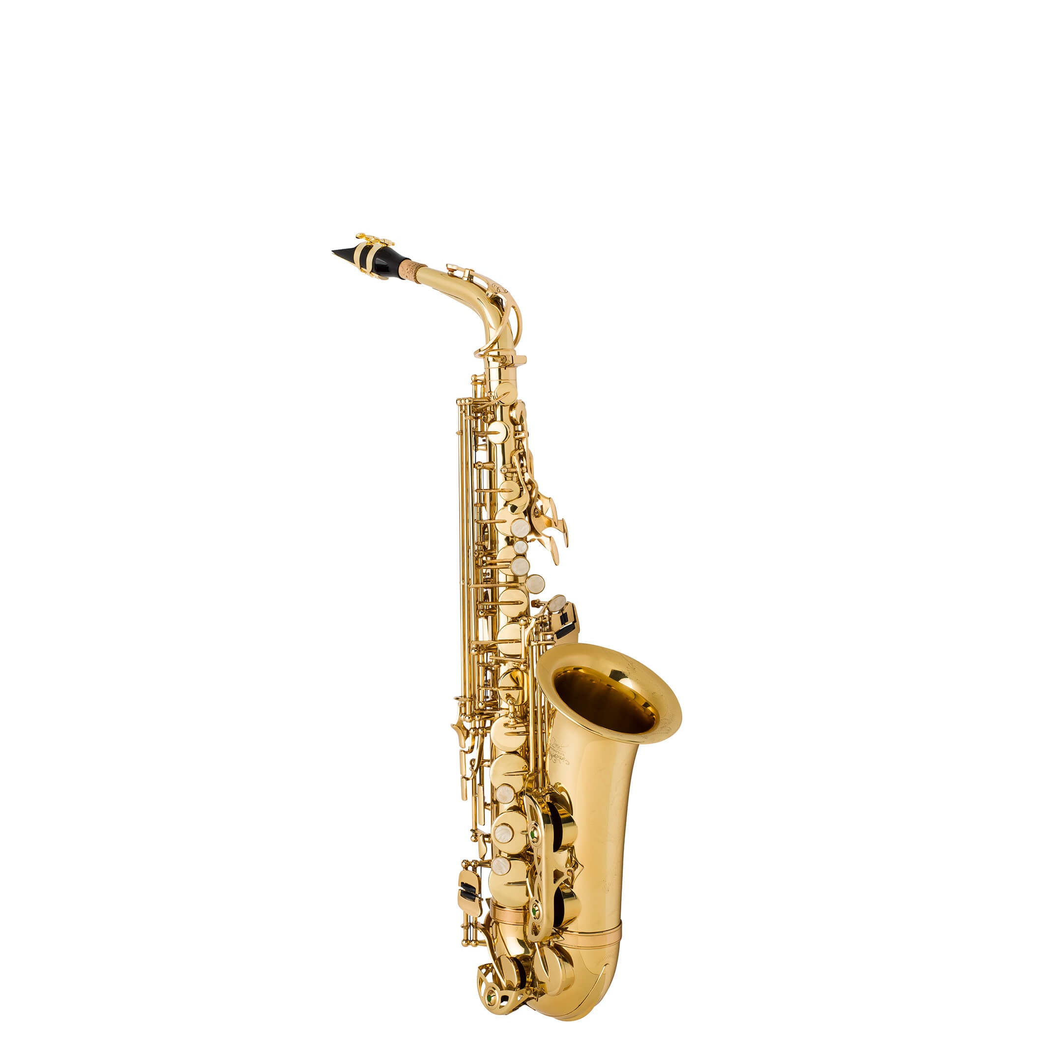 Student Alto Saxophone