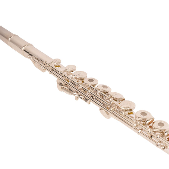 Professional Flute